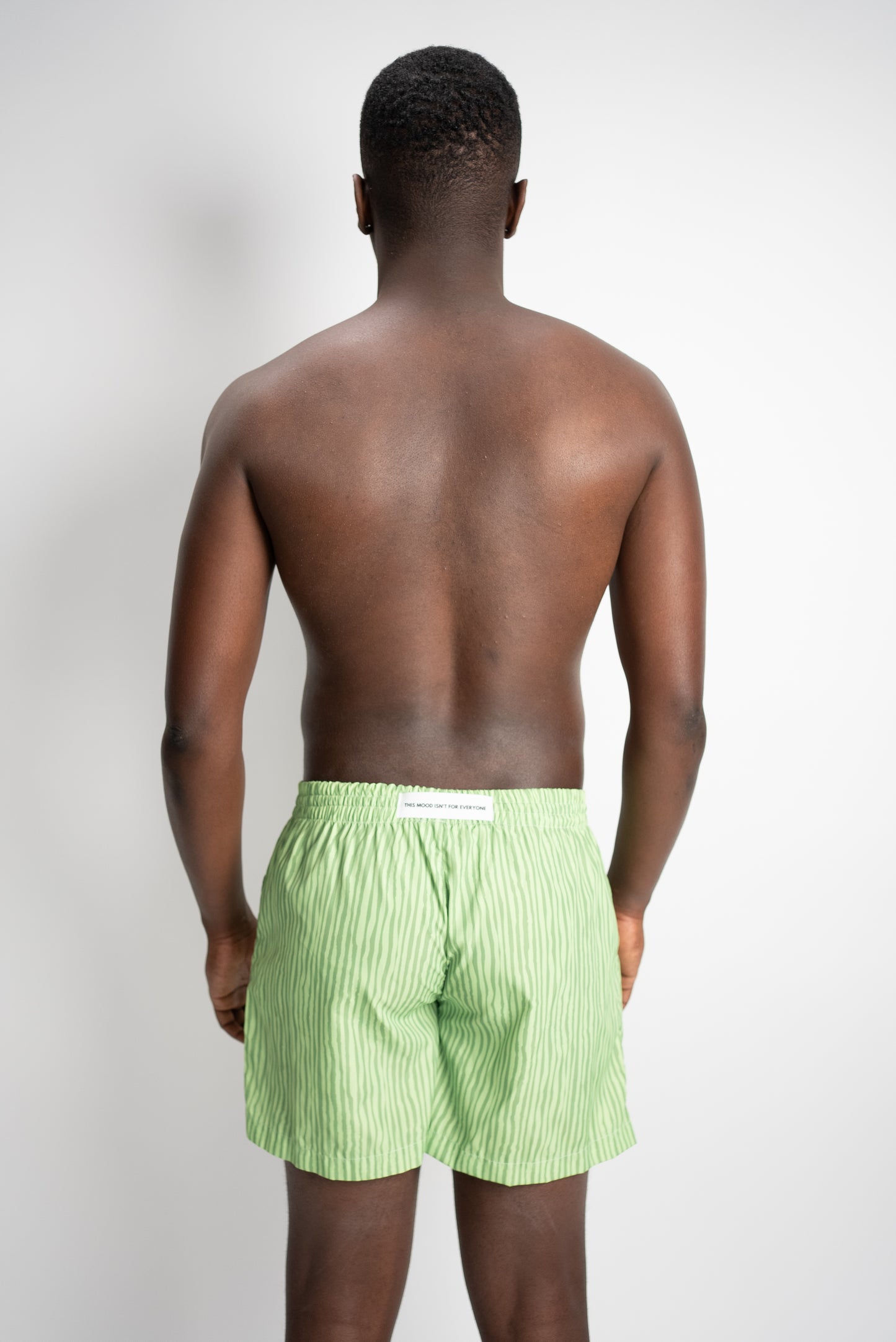 Costume fantasia verde