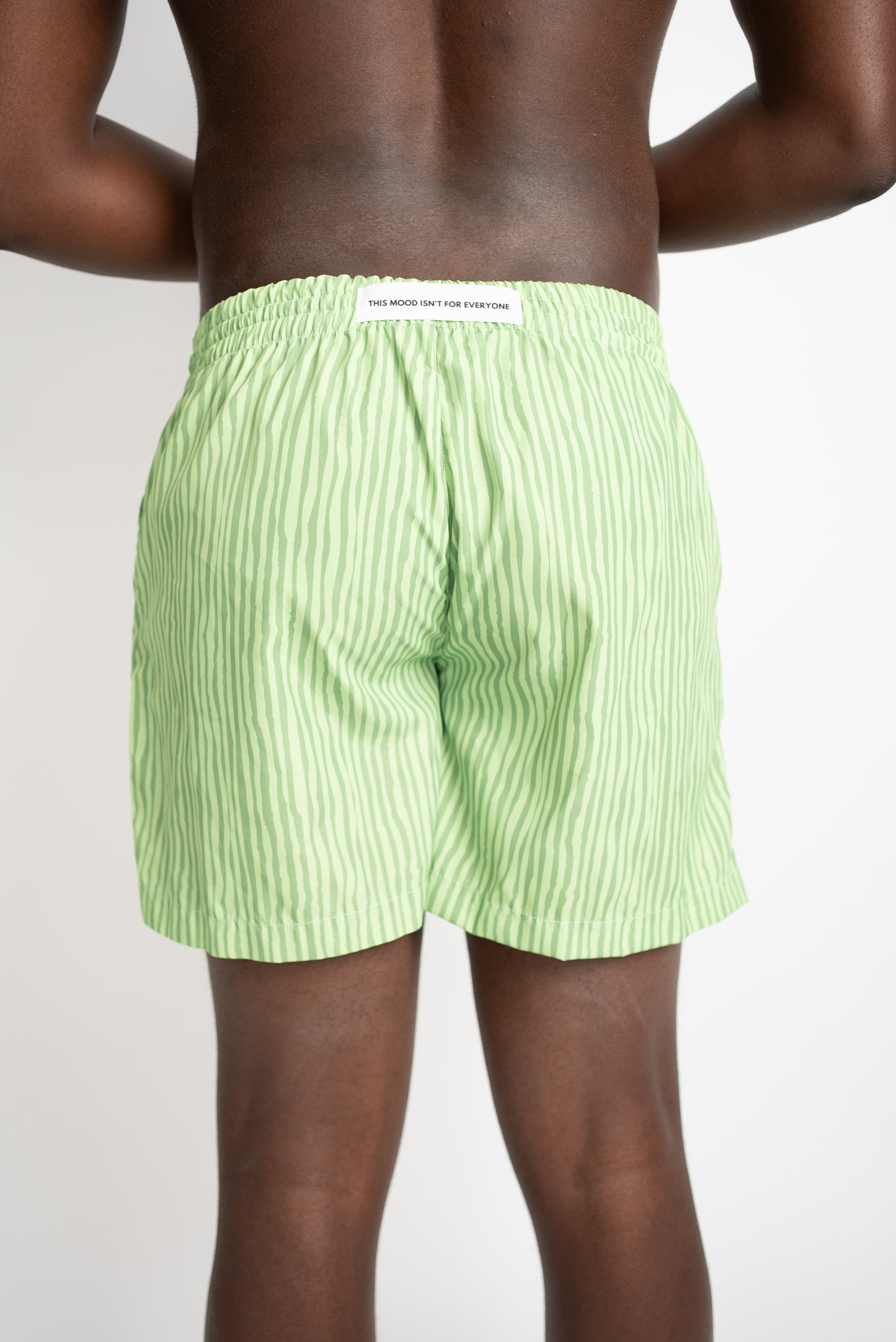 Costume fantasia verde