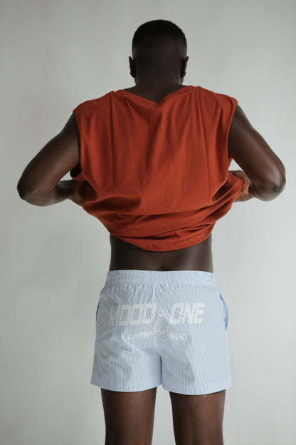 Boxer a righe celesti
