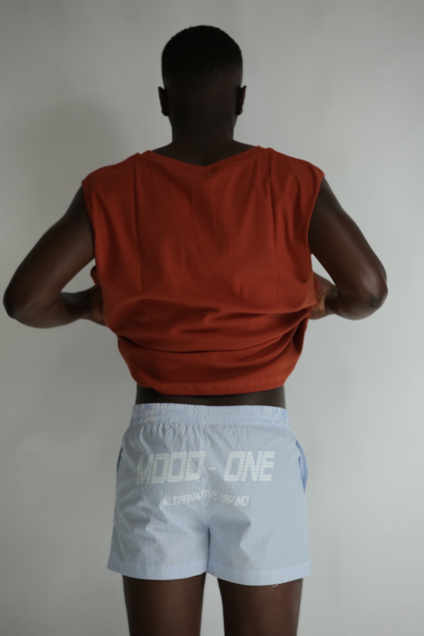 Boxer a righe celesti