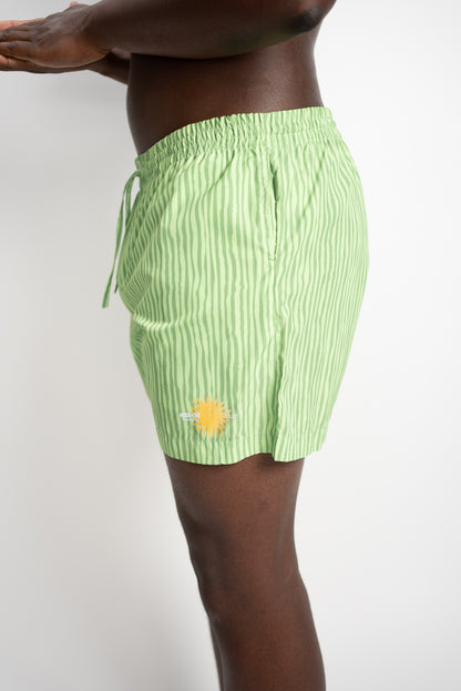 Costume fantasia verde